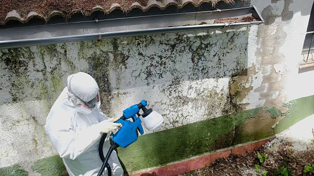 Trusted Bathroom Mold Removal service in Clear Spring, MD - Cheap Mold Removal